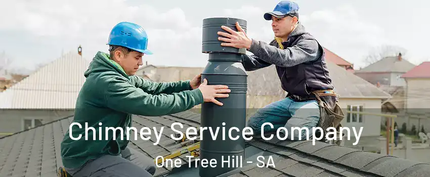  Chimney Service Company One Tree Hill - SA
