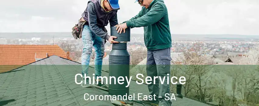 Chimney Service Coromandel East - SA