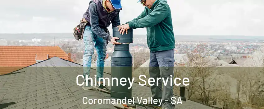 Chimney Service Coromandel Valley - SA