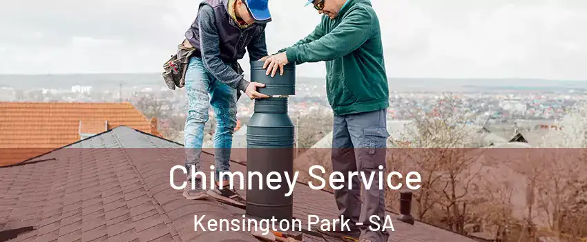  Chimney Service Kensington Park - SA