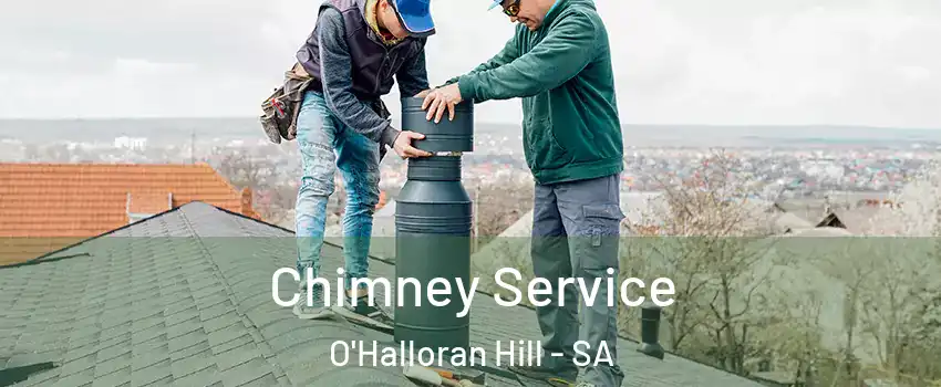  Chimney Service O'Halloran Hill - SA