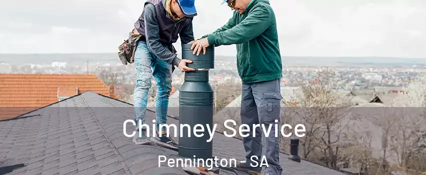 Chimney Service Pennington - SA