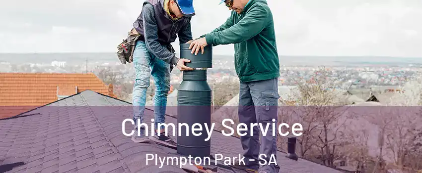 Chimney Service Plympton Park - SA