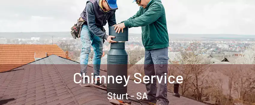 Chimney Service Sturt - SA