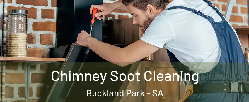 Chimney Soot Cleaning Buckland Park - SA