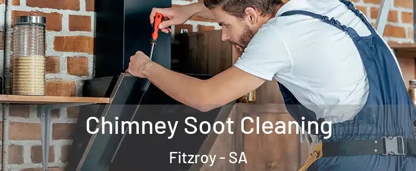 Chimney Soot Cleaning Fitzroy - SA