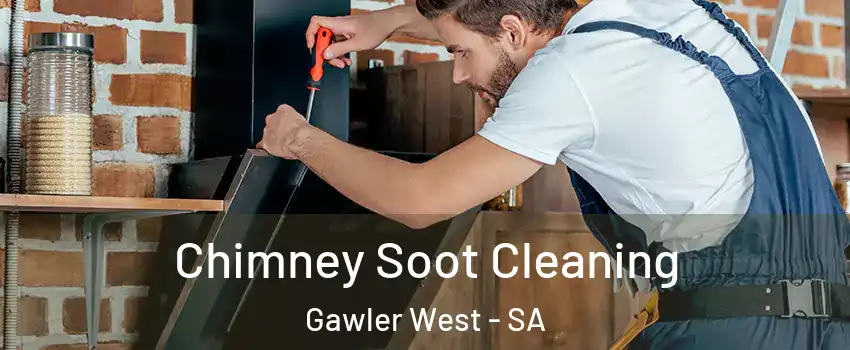 Chimney Soot Cleaning Gawler West - SA