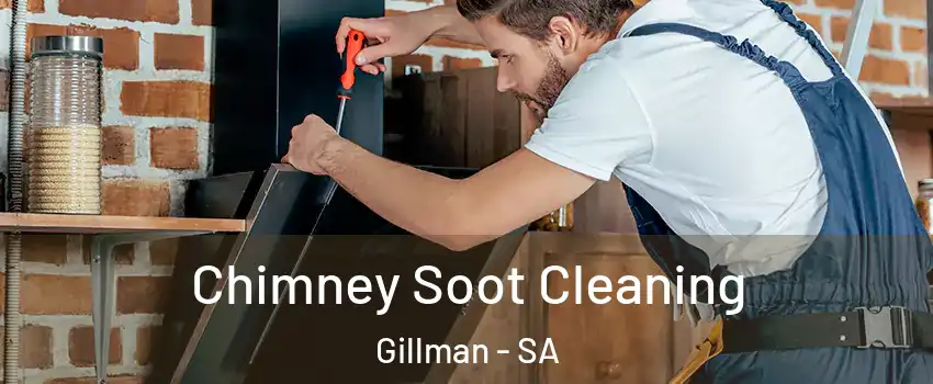  Chimney Soot Cleaning Gillman - SA
