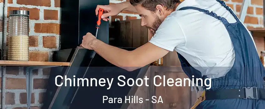 Chimney Soot Cleaning Para Hills - SA