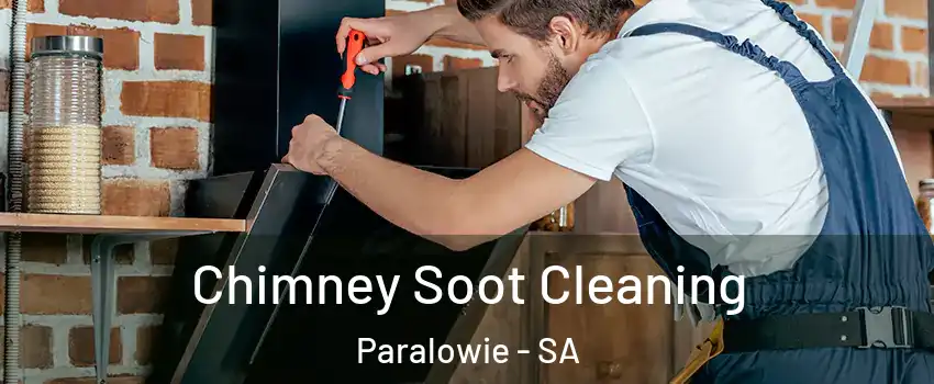 Chimney Soot Cleaning Paralowie - SA