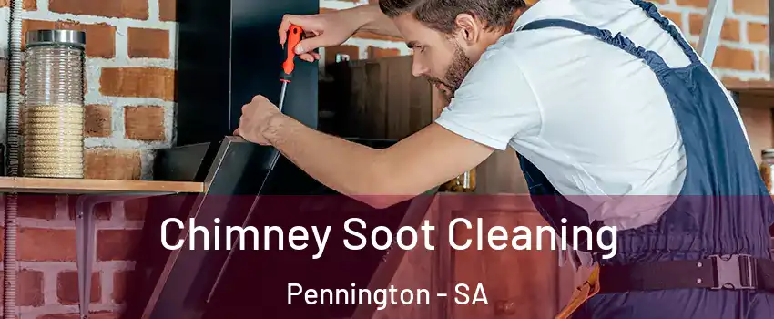 Chimney Soot Cleaning Pennington - SA