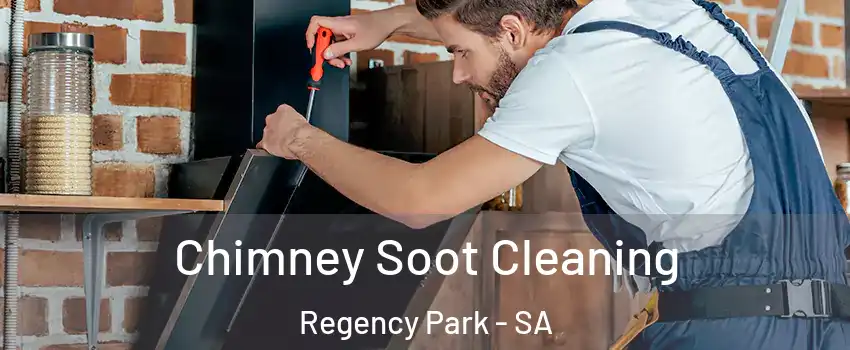 Chimney Soot Cleaning Regency Park - SA
