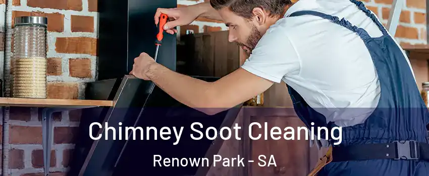 Chimney Soot Cleaning Renown Park - SA