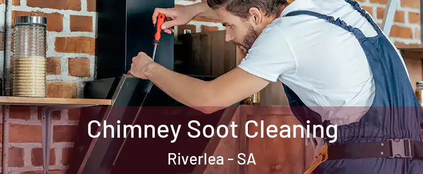 Chimney Soot Cleaning Riverlea - SA