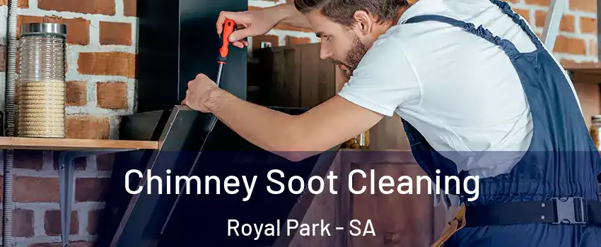 Chimney Soot Cleaning Royal Park - SA