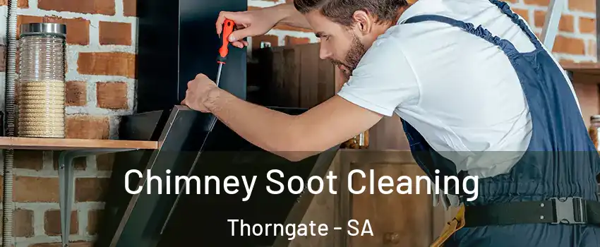 Chimney Soot Cleaning Thorngate - SA