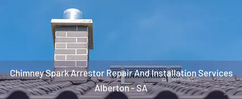 Chimney Spark Arrestor Repair And Installation Services Alberton - SA