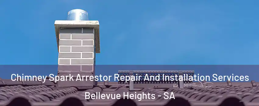 Chimney Spark Arrestor Repair And Installation Services Bellevue Heights - SA