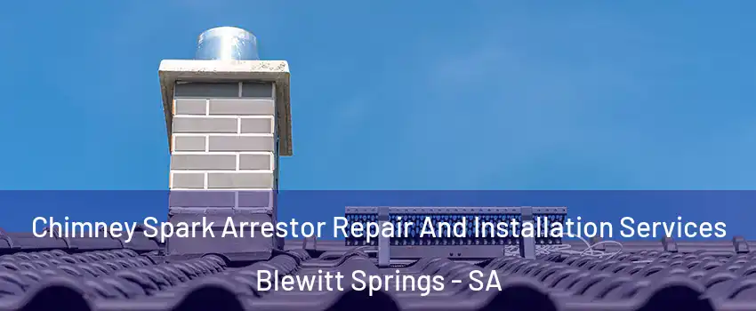 Chimney Spark Arrestor Repair And Installation Services Blewitt Springs - SA