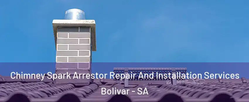 Chimney Spark Arrestor Repair And Installation Services Bolivar - SA
