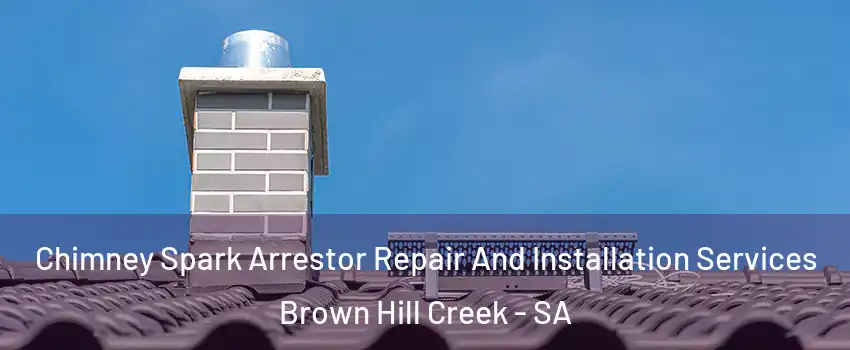 Chimney Spark Arrestor Repair And Installation Services Brown Hill Creek - SA