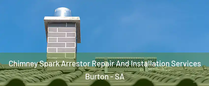  Chimney Spark Arrestor Repair And Installation Services Burton - SA
