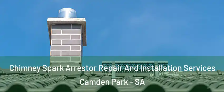  Chimney Spark Arrestor Repair And Installation Services Camden Park - SA