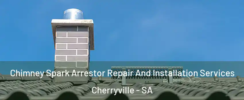Chimney Spark Arrestor Repair And Installation Services Cherryville - SA