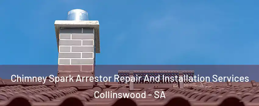 Chimney Spark Arrestor Repair And Installation Services Collinswood - SA