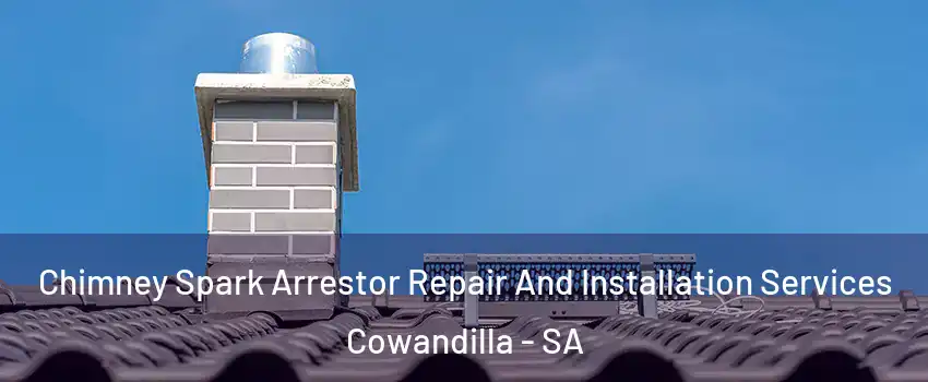 Chimney Spark Arrestor Repair And Installation Services Cowandilla - SA