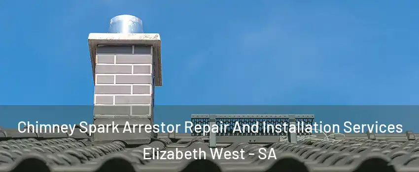  Chimney Spark Arrestor Repair And Installation Services Elizabeth West - SA