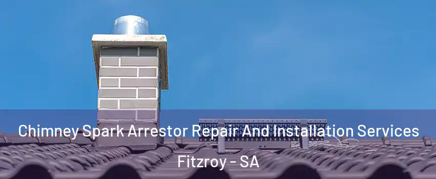  Chimney Spark Arrestor Repair And Installation Services Fitzroy - SA