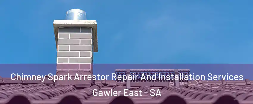 Chimney Spark Arrestor Repair And Installation Services Gawler East - SA