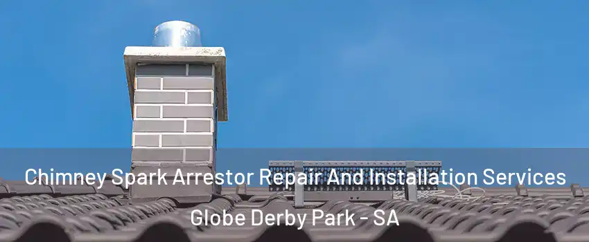  Chimney Spark Arrestor Repair And Installation Services Globe Derby Park - SA