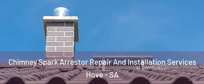 Chimney Spark Arrestor Repair And Installation Services Hove - SA