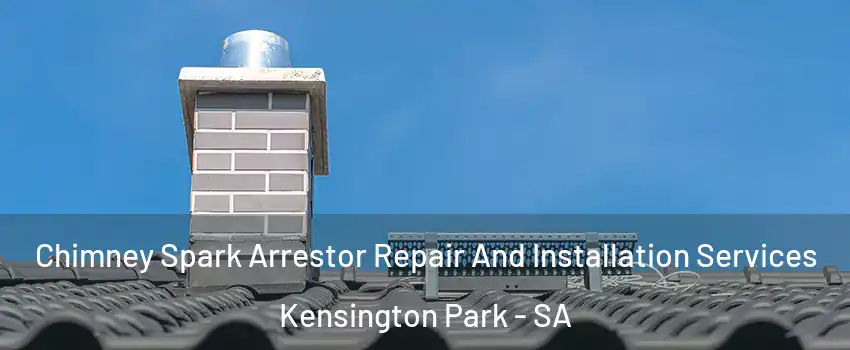 Chimney Spark Arrestor Repair And Installation Services Kensington Park - SA