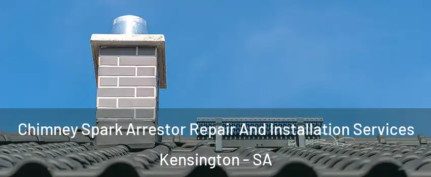Chimney Spark Arrestor Repair And Installation Services Kensington - SA