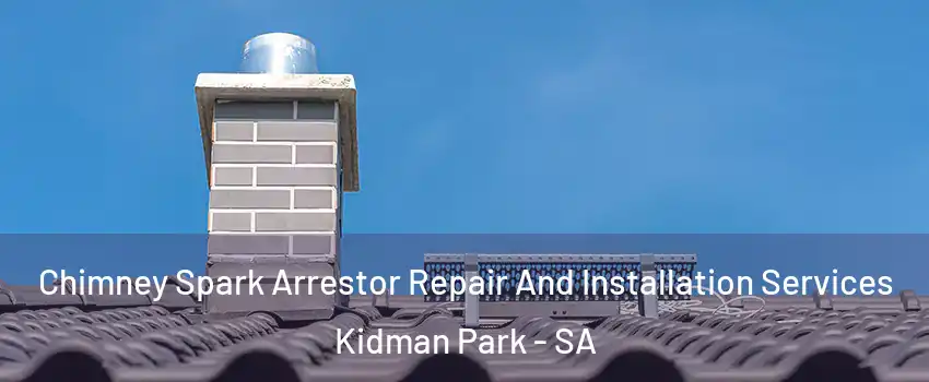 Chimney Spark Arrestor Repair And Installation Services Kidman Park - SA