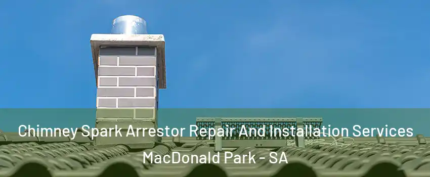  Chimney Spark Arrestor Repair And Installation Services MacDonald Park - SA