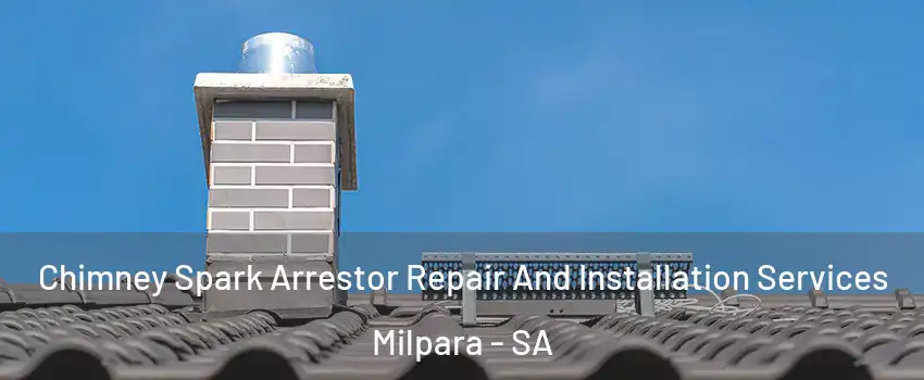 Chimney Spark Arrestor Repair And Installation Services Milpara - SA