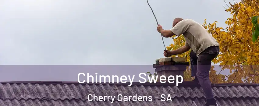  Chimney Sweep Cherry Gardens - SA