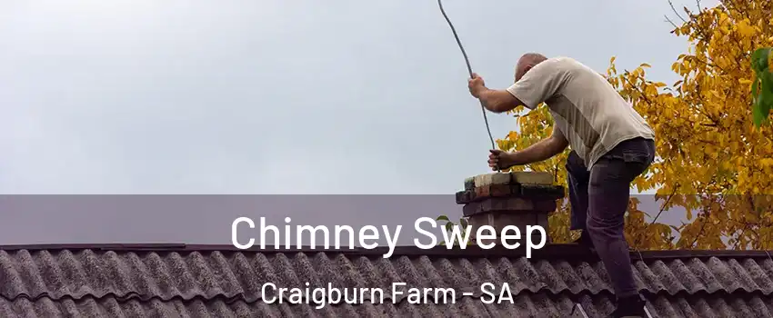  Chimney Sweep Craigburn Farm - SA