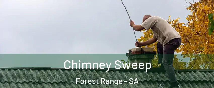 Chimney Sweep Forest Range - SA