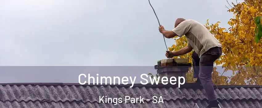 Chimney Sweep Kings Park - SA