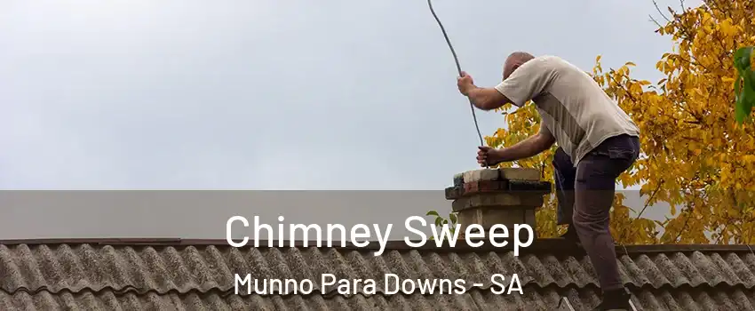 Chimney Sweep Munno Para Downs - SA
