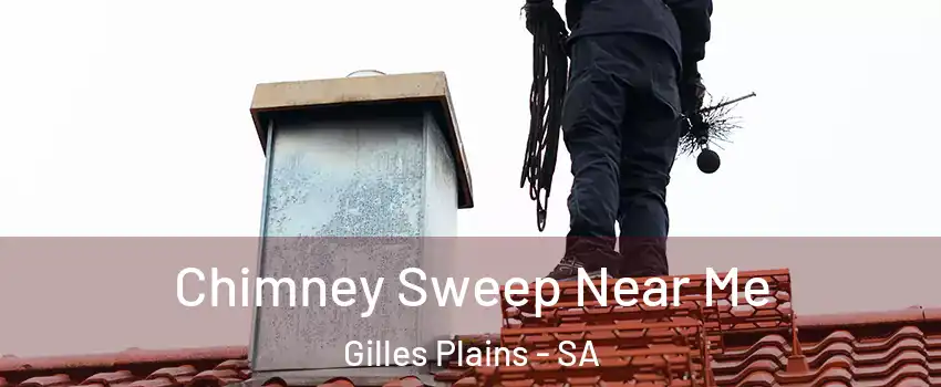  Chimney Sweep Near Me Gilles Plains - SA