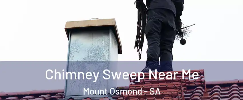 Chimney Sweep Near Me Mount Osmond - SA
