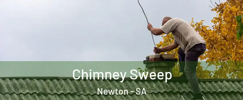  Chimney Sweep Newton - SA
