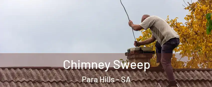 Chimney Sweep Para Hills - SA