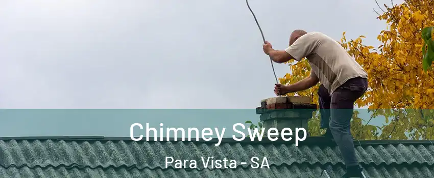 Chimney Sweep Para Vista - SA